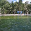 TREATMENT KOLAM RENANG - Image 2