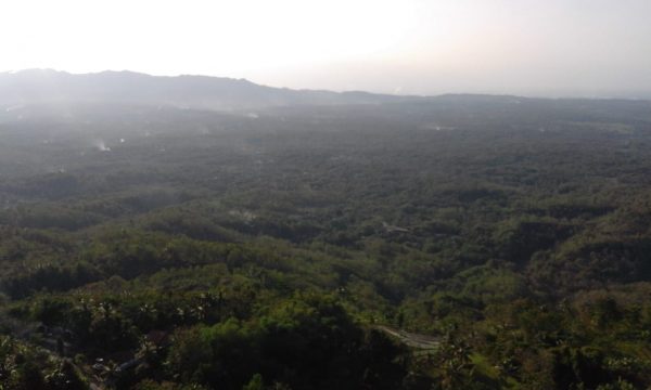 PERENCANA DAN KNSULTAN POTENSI WISATA DESA SELURUH DIY - Image 6