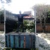 JASA TEBANG POHON TERMURAH DI BEKASI - Image 2