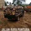 JASA TEBANG POHON DI REMBANG