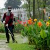JASA POTONG RUMPUT PROFESIONAL DAN TERMURAH DI KABUPATEN DELISERDANG SUMATERA UTARA - Image 5