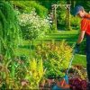 JASA POTONG RUMPUT PROFESIONAL DAN TERMURAH DI KABUPATEN DELISERDANG SUMATERA UTARA - Image 3