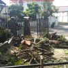 layanan jasa tebang pohon bekasi