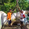 JASA GALI SUMUR TERMURAH DI PRAMBANAN